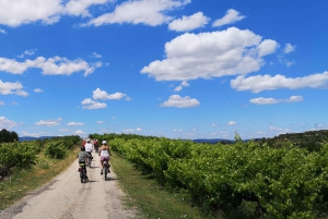 Penedès/BCN: Self-Guided eBike Tour with guided Winery Visit