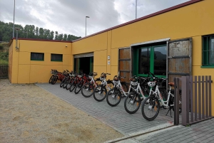 Penedès/BCN: Self-Guided eBike Tour with guided Winery Visit