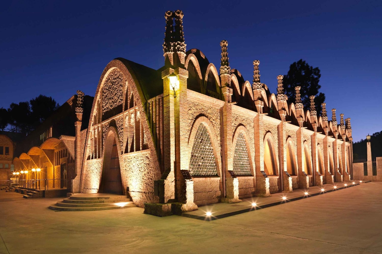 Penedès: Discovery Tour with Cava Tasting