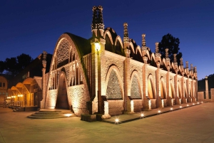 Penedès: Discovery Tour with Cava Tasting