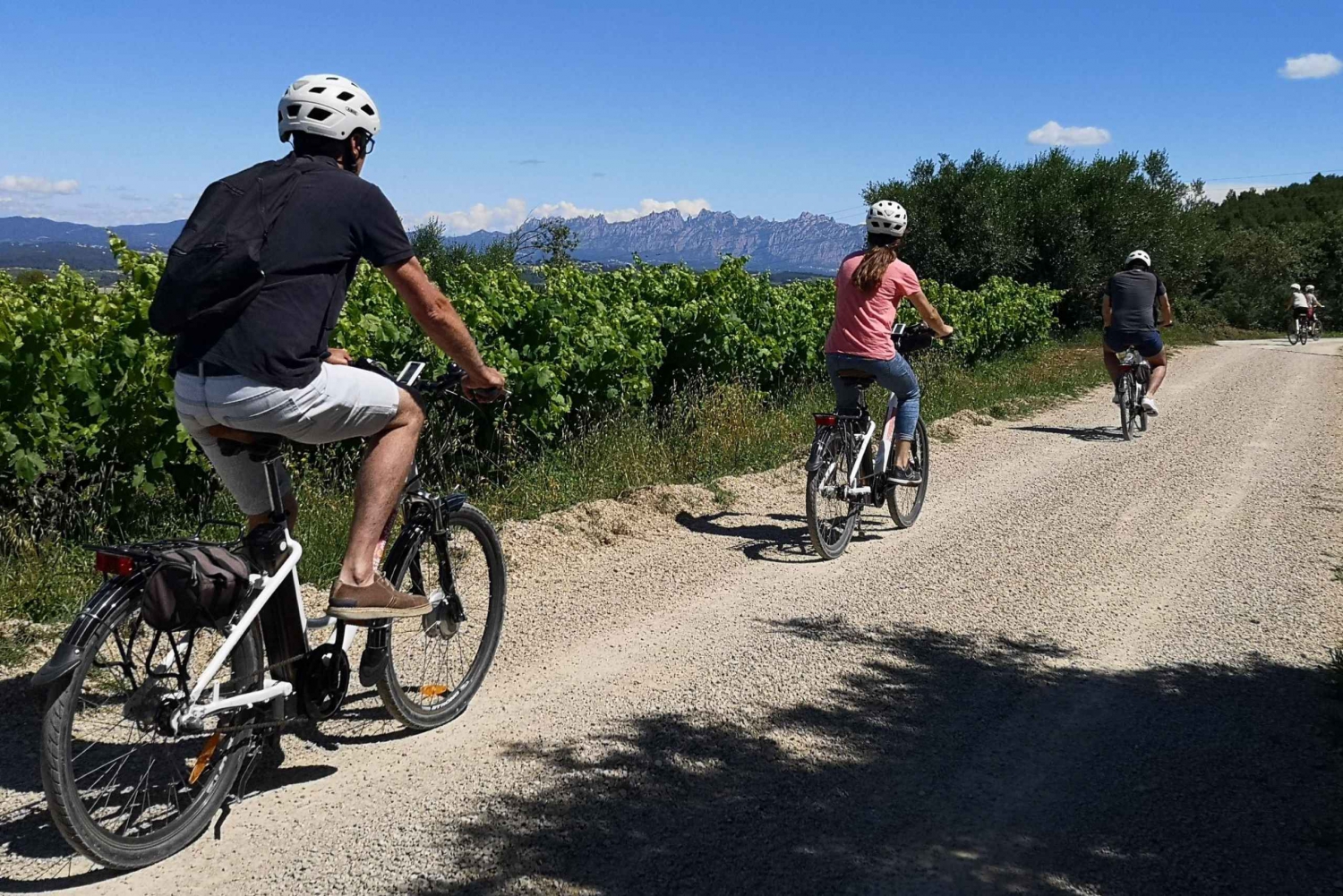 Penedès: Full-Day Guided E-Bike Wine Tour with Brunch