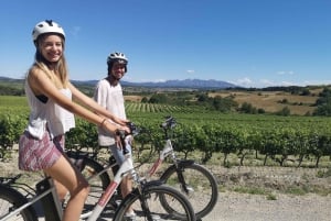 Penedès: Full-Day Guided E-Bike Wine Tour with Brunch
