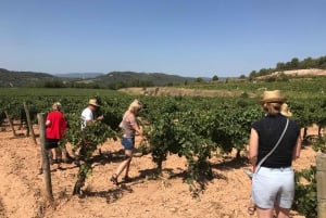 Penedes Wine Cellar Visit with tasting from Barcelona