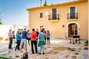 Penedès Vine to Wine: Personalized Cava taste&craft Workshop