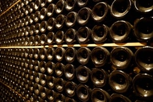 Penedès Vine to Wine: Personalized Cava taste&craft Workshop