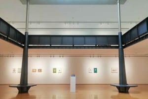 Musée Picasso et visite à pied avec dégustation de vin en option