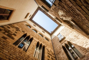 Picasso Walking Tour & Picasso Museum of Barcelona