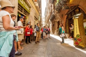 Barcellona: biglietto per il Museo Picasso e tour a piedi