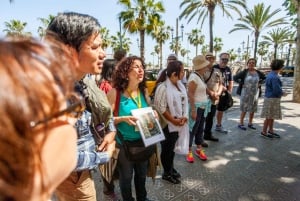 Barcellona: biglietto per il Museo Picasso e tour a piedi