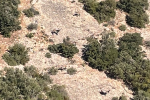 ПРЕМИУМ: ОПЫТ В МОНТСЕРРАТ - БАРСЕЛОНА