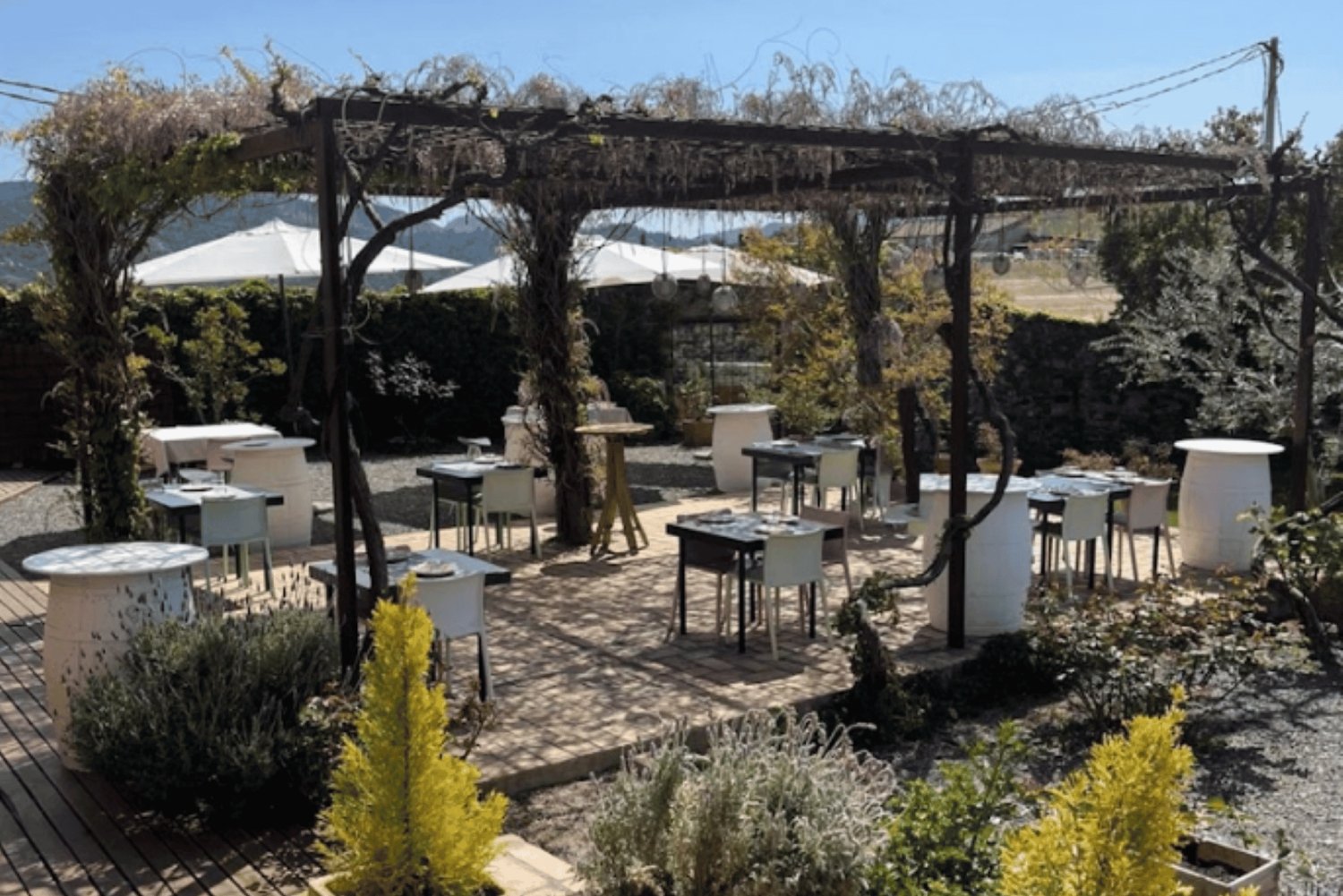 Priorat tour to 3 small wineries and hotel pick-up