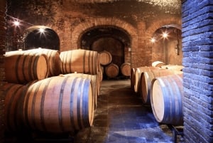 Priorat tour to 3 small wineries and hotel pick-up