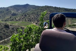 Priorat tour to 3 small wineries and hotel pick-up