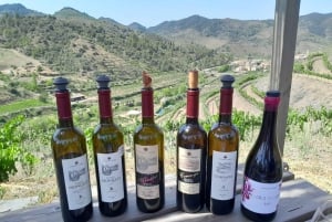Priorat tour to 3 small wineries and hotel pick-up