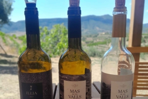 Priorat tour to 3 small wineries and hotel pick-up