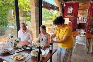 Priorat tour to 3 small wineries and hotel pick-up