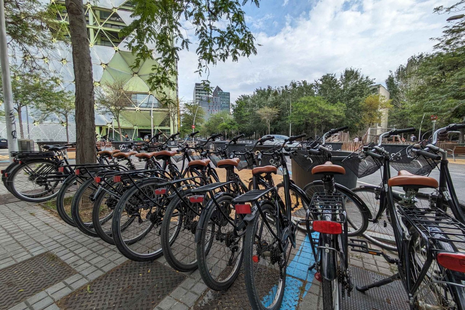 Private bike tour starting from your hotel