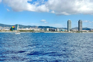 バルセロナ、バダロナのプライベートボートツアー（定員9名様まで）