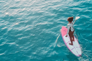 バルセロナ、バダロナのプライベートボートツアー（定員9名様まで）