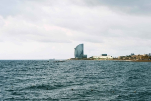 バルセロナ、バダロナのプライベートボートツアー（定員9名様まで）