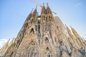 Private Gaudí Art Tour: Sagrada Familia & Park Güell