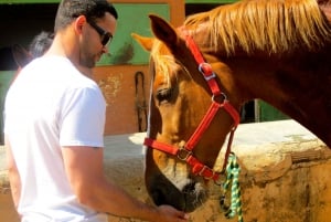 Private Horse Riding and Nature Tour from Barcelona