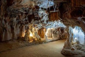 Barcelone : Visite privée de Monserrat, du château et du sel