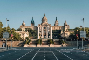 Private Tour of Barcelona with Driver/Guide