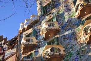 Barcelone : Visite privée de la Casa Batllo avec accès réservé