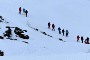 Pirineos: Excursión de un día con 3 niveles a elegir