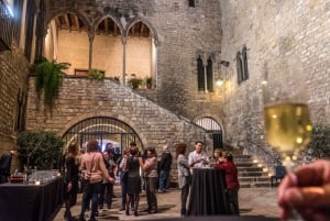 Barcelona: Requesens Palace Dinner with Medieval Show