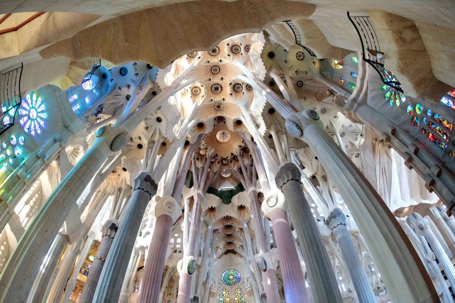 Sagrada Familia and Park Güell: 5-Hour Skip-the-Line Tour