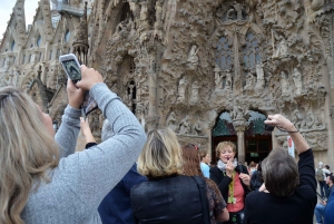 Sagrada Familia with Towers & Park Güell Skip-the-line Tour