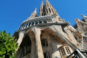 Barcellona: Tour guidato della Sagrada Família e del Parco Güell