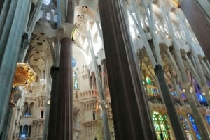 Barcellona: Tour guidato della Sagrada Família e del Parco Güell