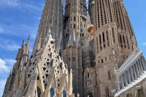 Barcellona: Tour guidato della Sagrada Família e del Parco Güell