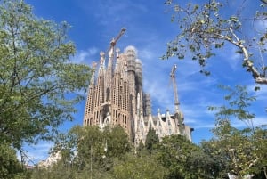 Barcellona: Tour guidato della Sagrada Família e del Parco Güell