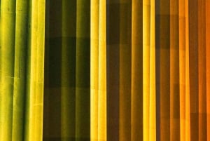 Visita guiada a la Sagrada Familia con ticket de entrada sin colas