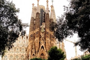 Visita guiada a la Sagrada Familia con ticket de entrada sin colas