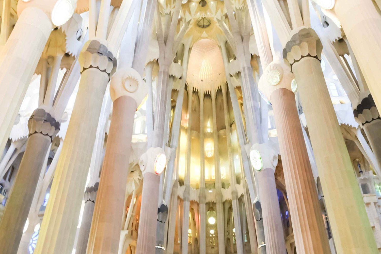 Sagrada Familia: Skip-the-Line Guided Tour with Tower