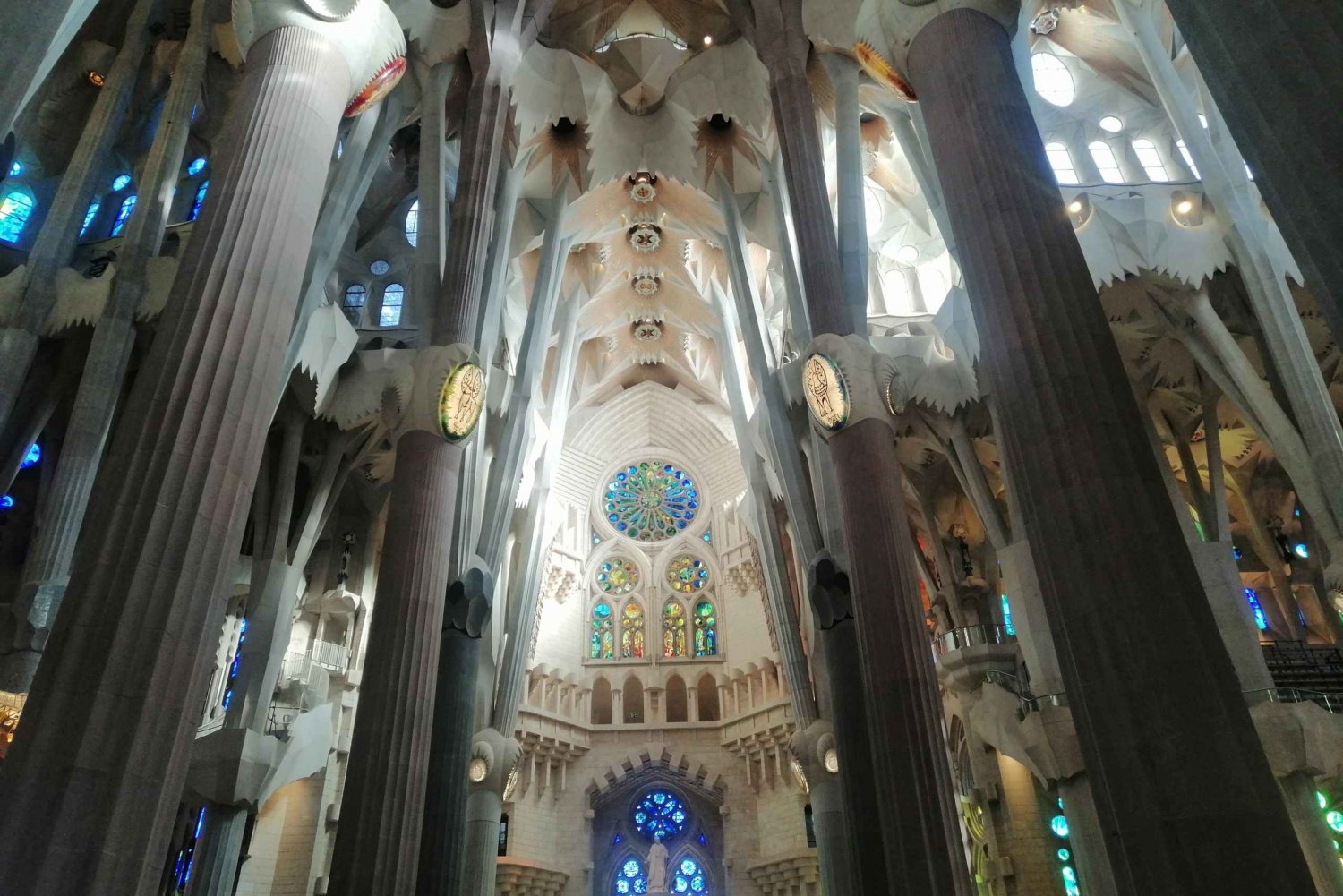 Barcelona: Sagrada Família-tur med valgfri adgang til tårnet