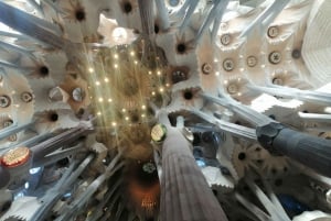Barcelona: Sagrada Família Tour z opcjonalnym dostępem do wieży