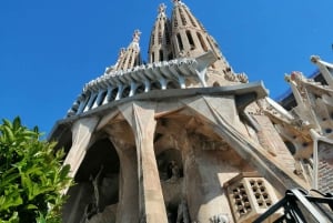 Barcelona: Sagrada Familia Tour met optionele toegang tot de toren