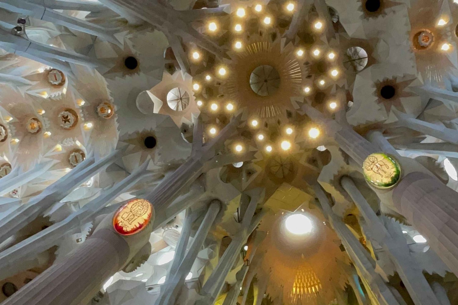 Biglietto per la Sagrada Familia con visita guidata