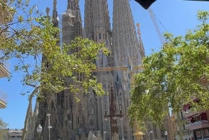 Ticket Sagrada Familia met rondleiding