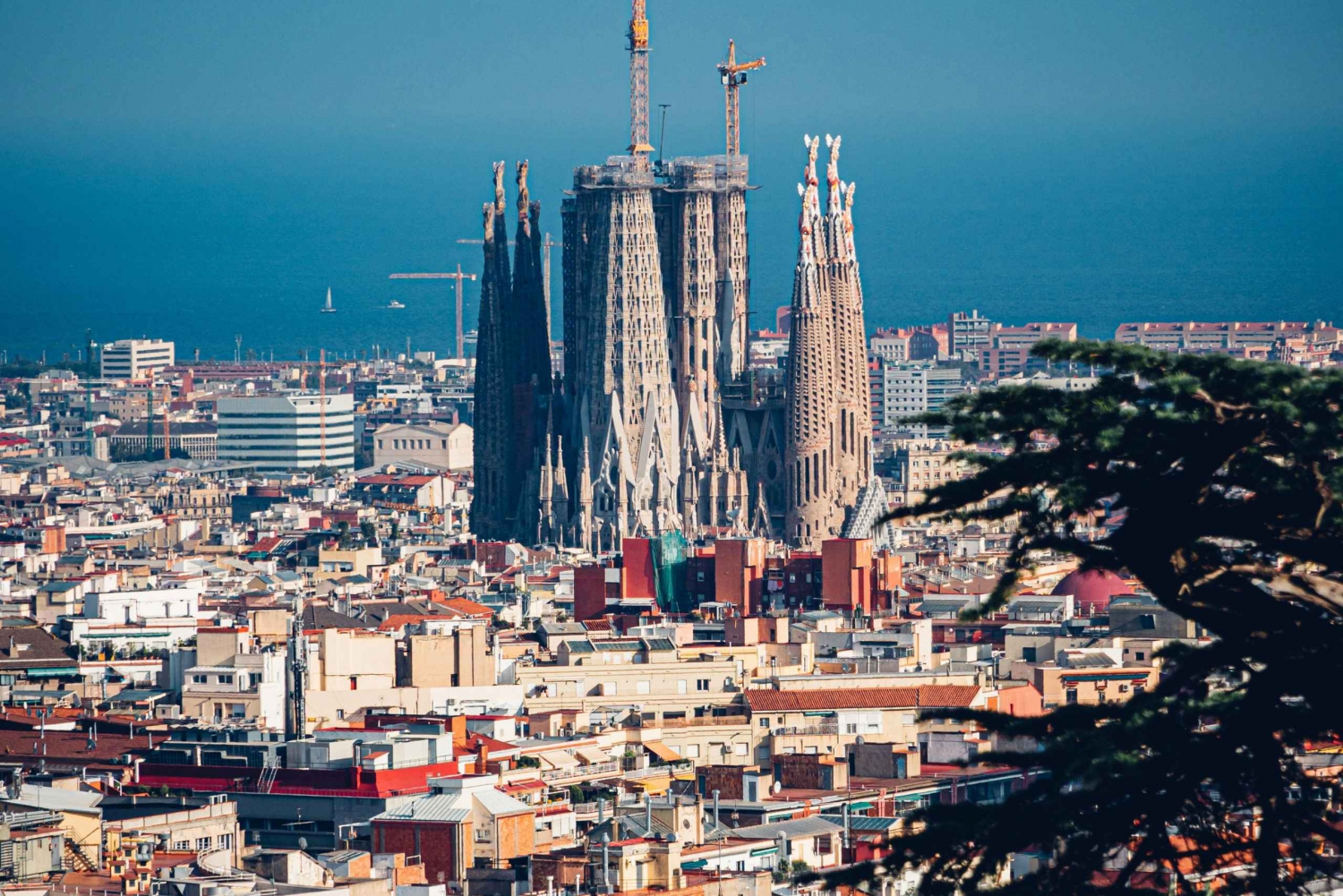 Barcelone : Billet pour la Sagrada Familia avec audioguide intégré