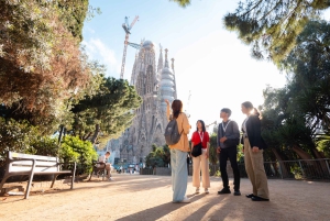Tour della Sagrada Familia con ingresso express e guida locale