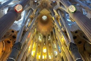 Tour della Sagrada Familia con ingresso express e guida locale