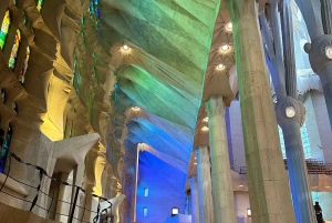 Tour della Sagrada Familia con ingresso express e guida locale