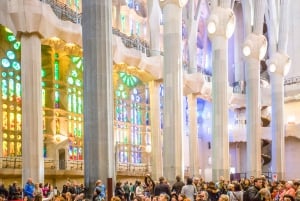 Barcelona: Forbi-køen-omvisning av Sagrada Familia med tårn og i Park Güell